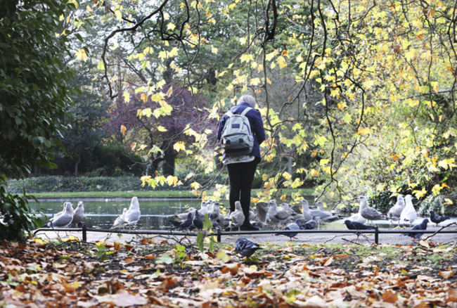 3707 Stephen's Green scenes_90527165