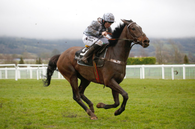 Festival Trials Day - Cheltenham Racecourse