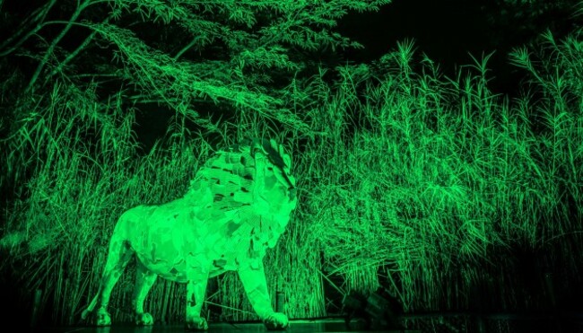 TAJI THE LION STATUE IN MOUNT KENYA NATIONAL PARK JOINS TOURISM