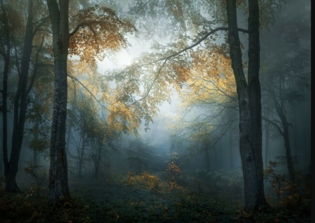 Veselin Atanasov, Bulgarian with image Early Autumn