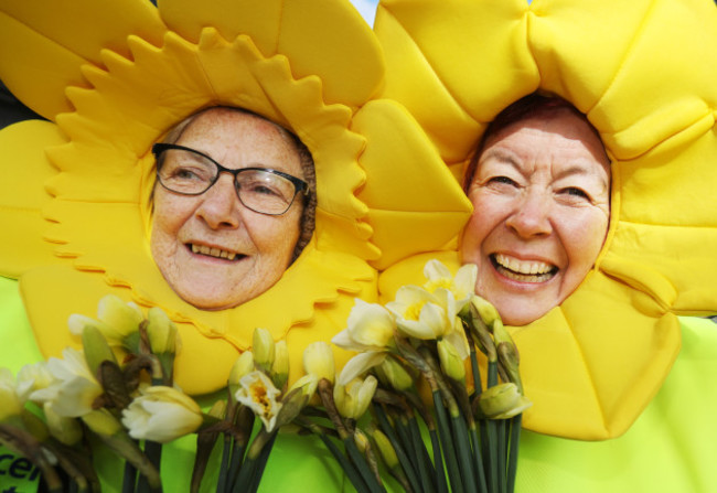 6081 Daffodil Day_90540441