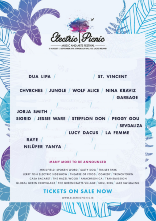 0000000Electric picnic men