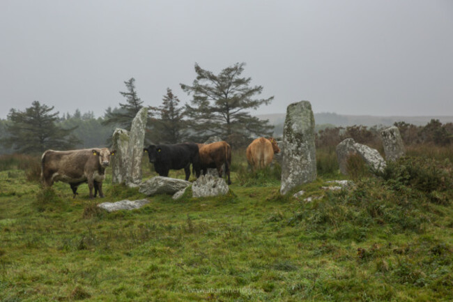 Derreenataggart Stone Circle