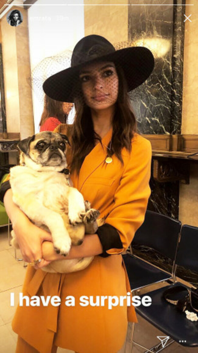 emily-ratajkowski-dog-wedding