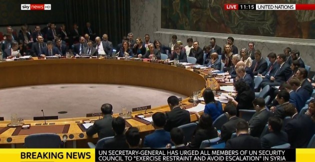 UN council