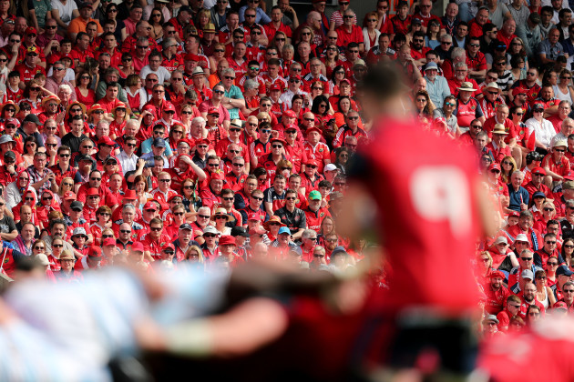 Munster fans look on
