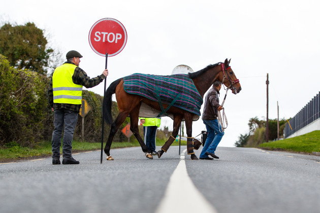 A horse arriving at Navan Race Course