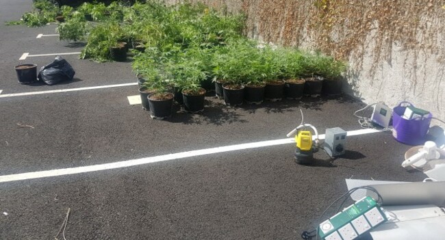 Growhouse 1
