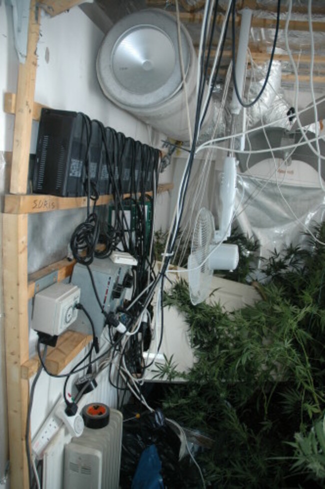 Growhouse