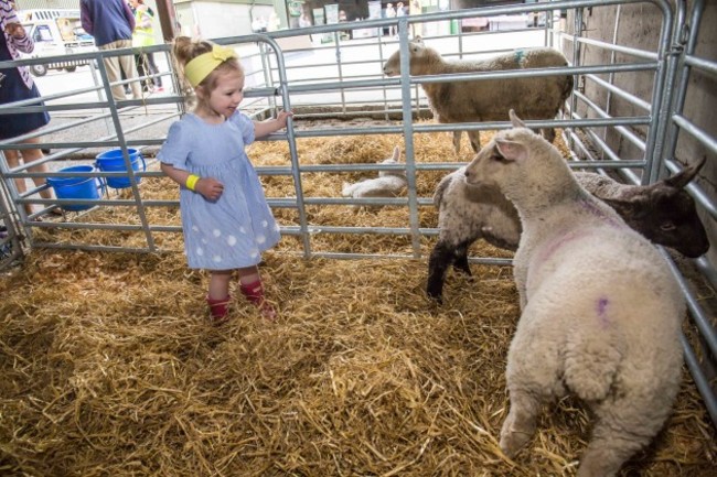 Agri Aware Farm Open Day Wicklow-5