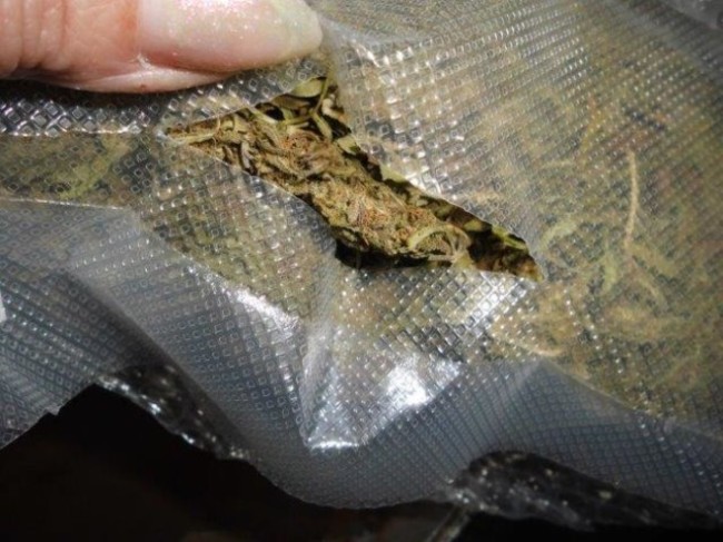 Herbal Cannabis Kildare (1)