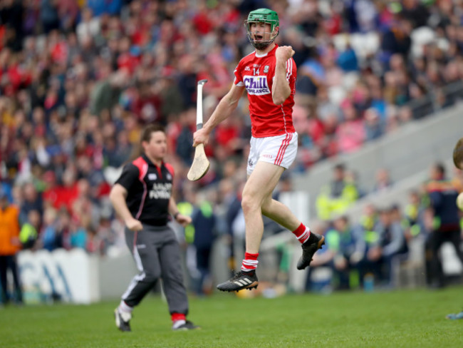 Seamus Harnedy celebrates scoring a goal