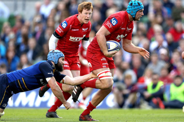 Scott Fardy and Tadhg Beirne