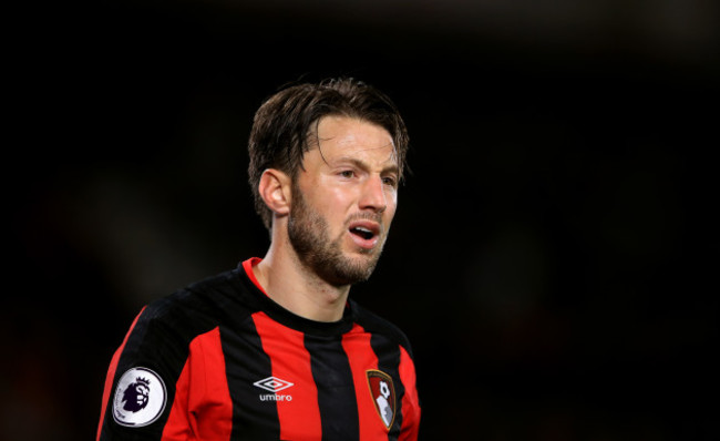 AFC Bournemouth v Brighton and Hove Albion - Premier League - Vitality Stadium