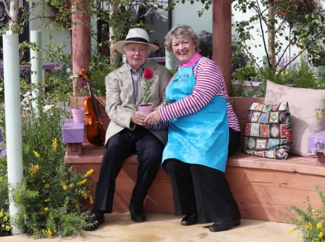 Dementia Friendly Garden 6