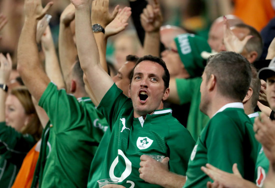 Ireland fans during the game