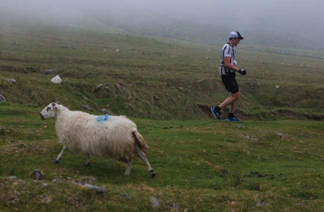 Dingle2018Adventure Race29