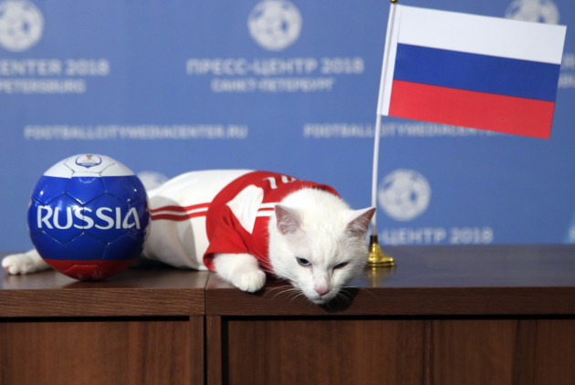 Russia Soccer WCup Cat Predictor