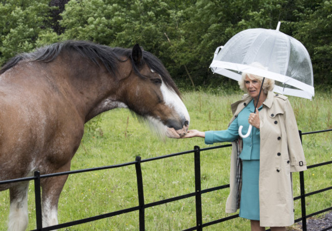 Royal visit to Republic of Ireland