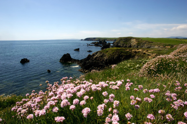 Copper Coast with Seapink