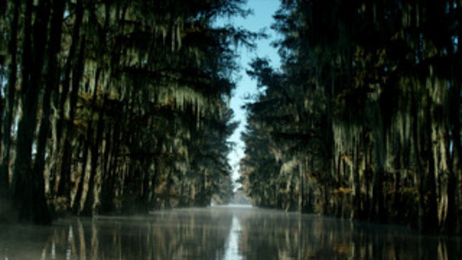 Texas Bayou Tiff 2