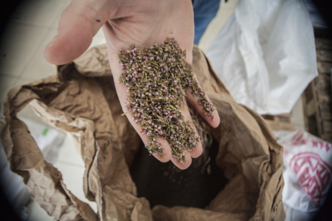 TheWhiteHag_PH20160311_0005