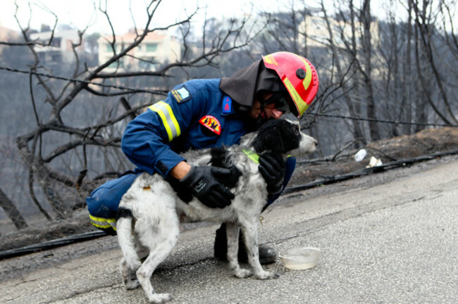 Deadly Forest Fires Rage Across Greece