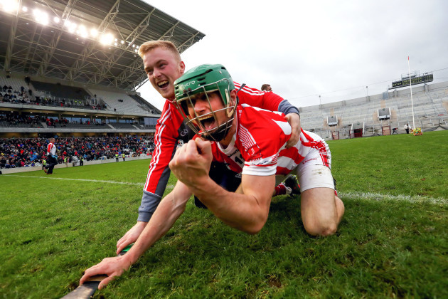 Seamie Harnedy celebrates after the game