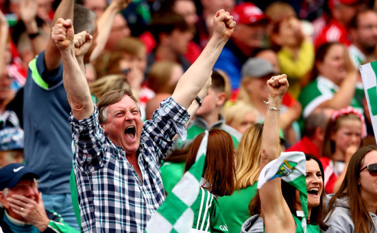 Limerick&rsquo;s fans celebrate a late score