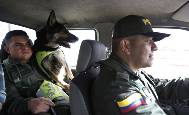 Colombia Threatened Drug Dog