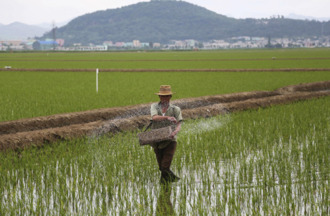 UN North Korea Humanitarian Aid