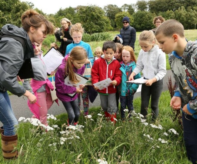 30688164_10159653114206337_782924619110678528_n