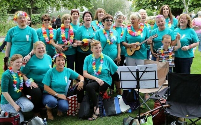 Arklow Ukulele Players