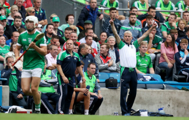 John Kiely signals for hawk eye