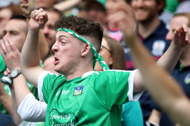 A Limerick fan celebrates a score