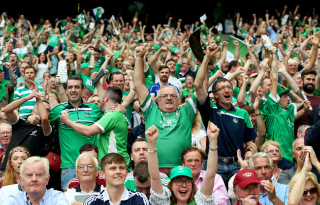 Limerick fans celebrate a score