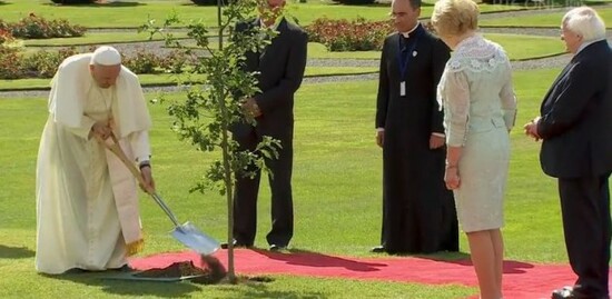 pope francis digging