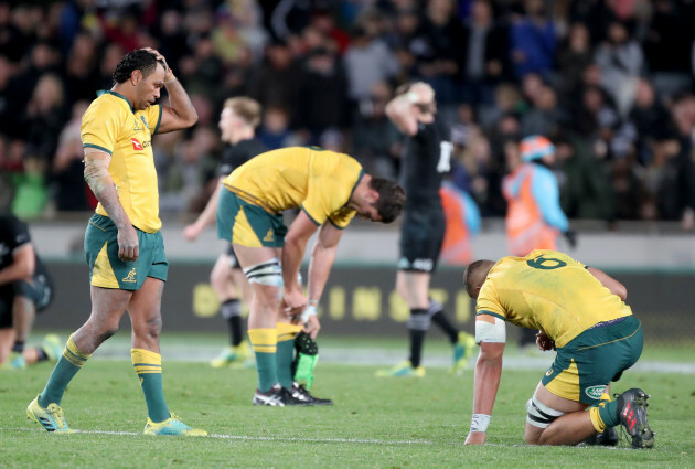 RUGBY BLEDISLOE CUP