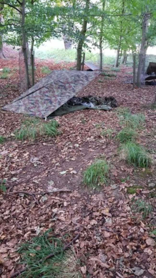 image2 (2)