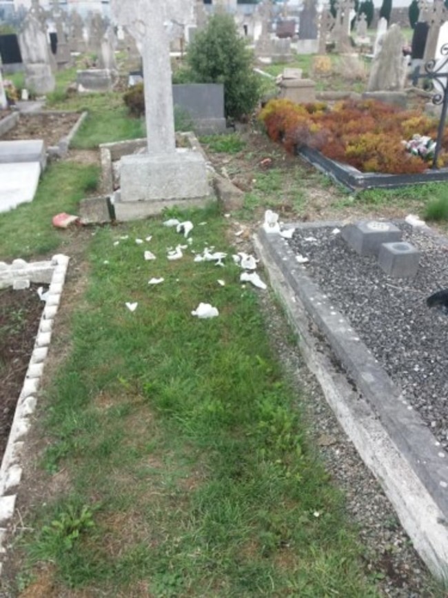 40389855_10217280529394157_753400571536343040_n