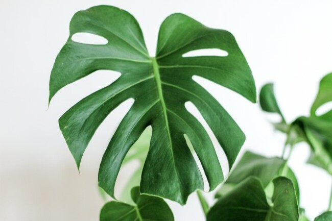 kara-michelle-547179-unsplash