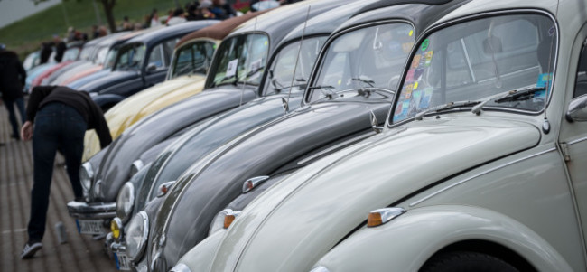 May Beetle Meet