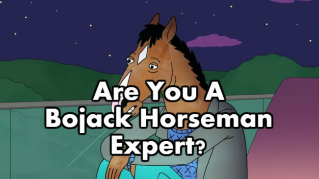 bojack horseman