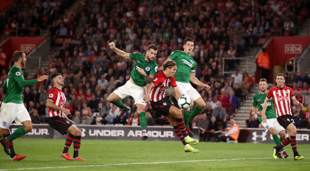 Southampton v Brighton and Hove Albion - Premier League - St Mary's