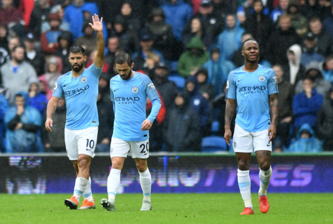 Cardiff City v Manchester City - Premier League - Cardiff City Stadium