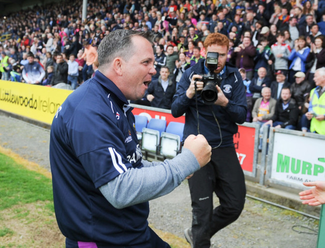 Davy Fitzgerald celebrates at the final whistle