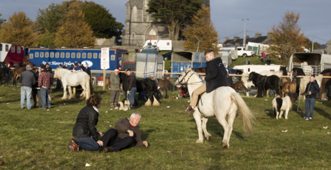 HORSE FAIR 758A3828_90555278