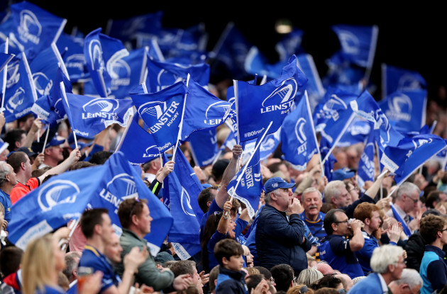 Leinster fans wave flags during the game