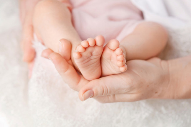 shutterstock_536517748