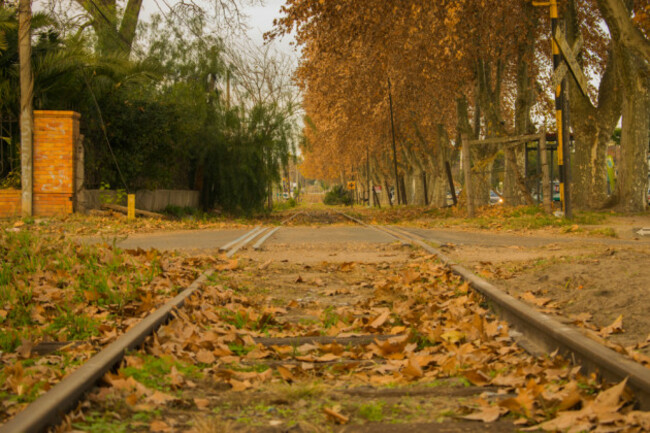 shutterstock_1130391962